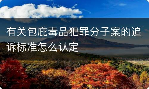 有关包庇毒品犯罪分子案的追诉标准怎么认定