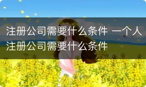 注册公司需要什么条件 一个人注册公司需要什么条件