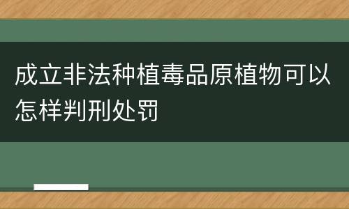 成立非法种植毒品原植物可以怎样判刑处罚