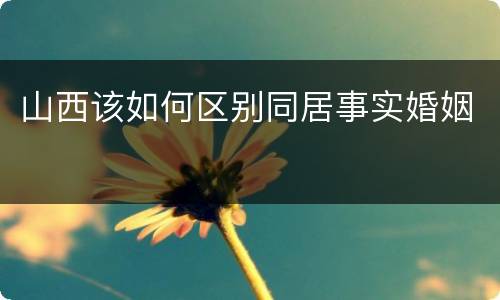 山西该如何区别同居事实婚姻
