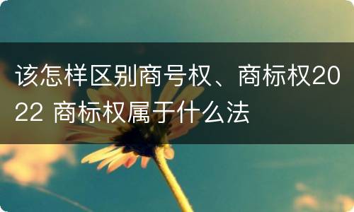 该怎样区别商号权、商标权2022 商标权属于什么法