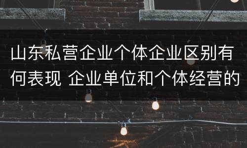 山东私营企业个体企业区别有何表现 企业单位和个体经营的区别