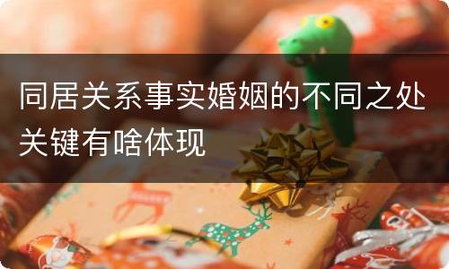 同居关系事实婚姻的不同之处关键有啥体现