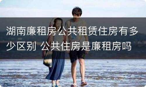 湖南廉租房公共租赁住房有多少区别 公共住房是廉租房吗