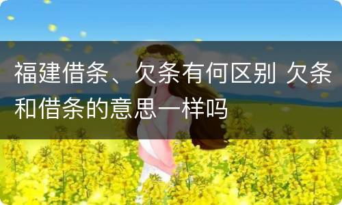 福建借条、欠条有何区别 欠条和借条的意思一样吗