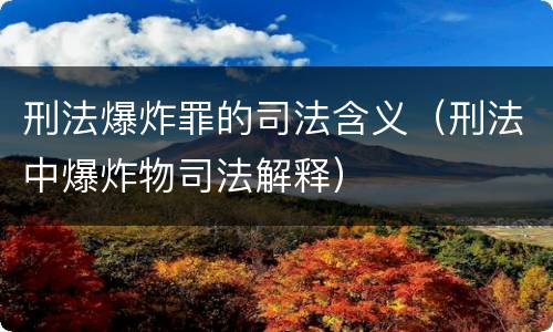 刑法爆炸罪的司法含义（刑法中爆炸物司法解释）