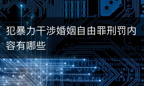 犯暴力干涉婚姻自由罪刑罚内容有哪些