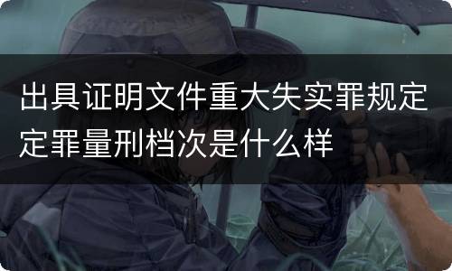 出具证明文件重大失实罪规定定罪量刑档次是什么样