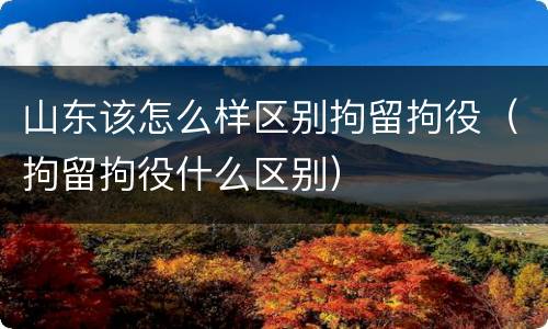 山东该怎么样区别拘留拘役（拘留拘役什么区别）