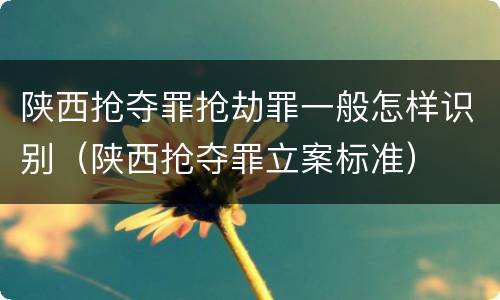 陕西抢夺罪抢劫罪一般怎样识别（陕西抢夺罪立案标准）