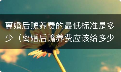 离婚后赡养费的最低标准是多少（离婚后赡养费应该给多少）