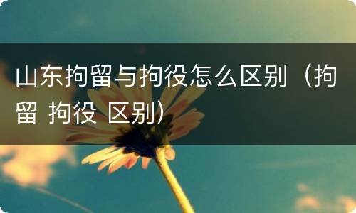 山东拘留与拘役怎么区别（拘留 拘役 区别）