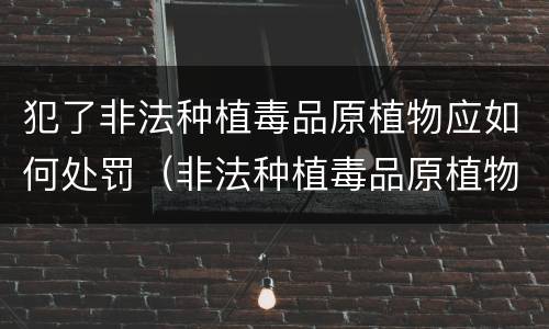 犯了非法种植毒品原植物应如何处罚（非法种植毒品原植物罪中的“种植”行为）