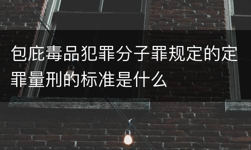 包庇毒品犯罪分子罪规定的定罪量刑的标准是什么