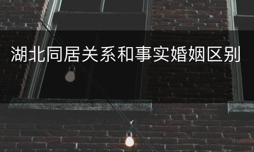 湖北同居关系和事实婚姻区别