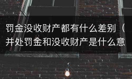 罚金没收财产都有什么差别（并处罚金和没收财产是什么意思）