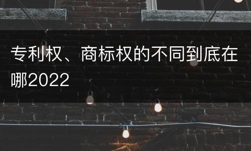 专利权、商标权的不同到底在哪2022