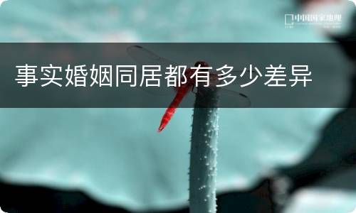 事实婚姻同居都有多少差异