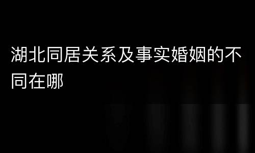 湖北同居关系及事实婚姻的不同在哪