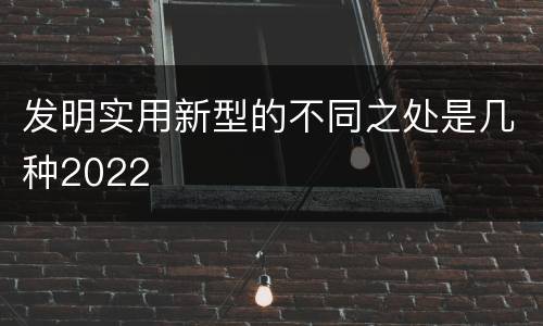 发明实用新型的不同之处是几种2022
