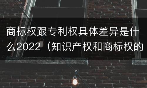 商标权跟专利权具体差异是什么2022（知识产权和商标权的区别）