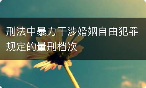 刑法中暴力干涉婚姻自由犯罪规定的量刑档次
