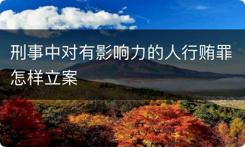 刑事中对有影响力的人行贿罪怎样立案