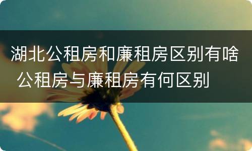 湖北公租房和廉租房区别有啥 公租房与廉租房有何区别