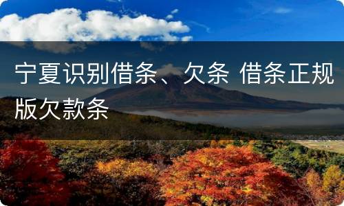 宁夏识别借条、欠条 借条正规版欠款条