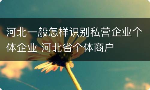河北一般怎样识别私营企业个体企业 河北省个体商户