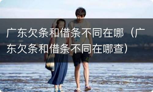 广东欠条和借条不同在哪（广东欠条和借条不同在哪查）