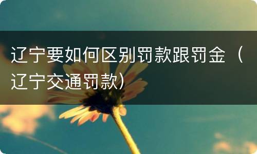 辽宁要如何区别罚款跟罚金（辽宁交通罚款）