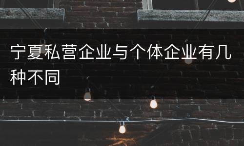 宁夏私营企业与个体企业有几种不同