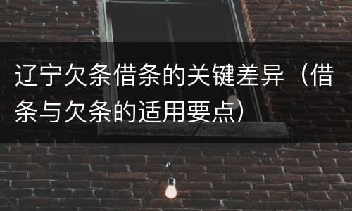 辽宁欠条借条的关键差异（借条与欠条的适用要点）