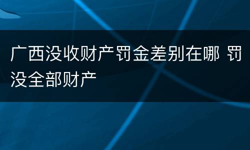 广西没收财产罚金差别在哪 罚没全部财产