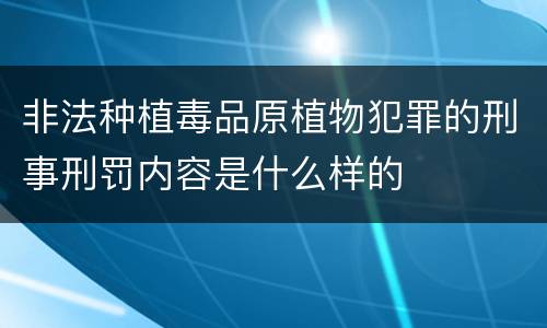 非法种植毒品原植物犯罪的刑事刑罚内容是什么样的