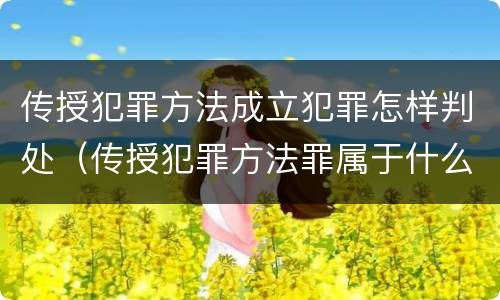 传授犯罪方法成立犯罪怎样判处（传授犯罪方法罪属于什么罪）