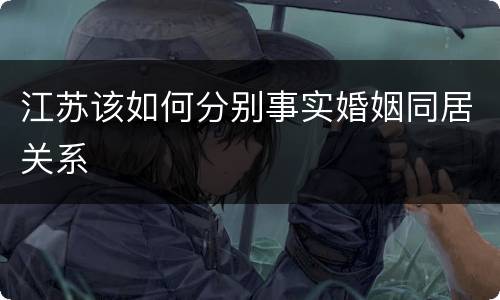 江苏该如何分别事实婚姻同居关系
