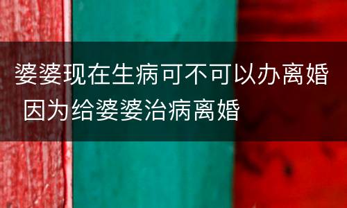 婆婆现在生病可不可以办离婚 因为给婆婆治病离婚