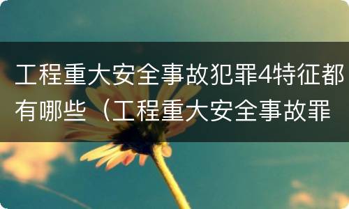 工程重大安全事故犯罪4特征都有哪些（工程重大安全事故罪是指什么）