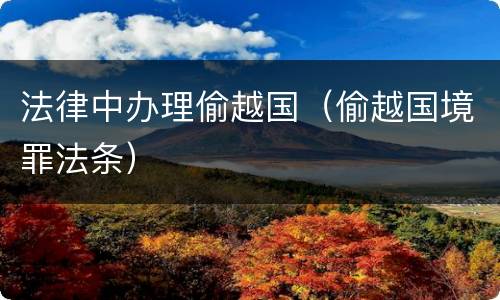 法律中办理偷越国（偷越国境罪法条）