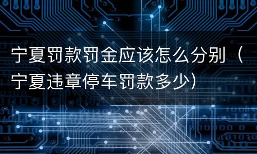 宁夏罚款罚金应该怎么分别（宁夏违章停车罚款多少）