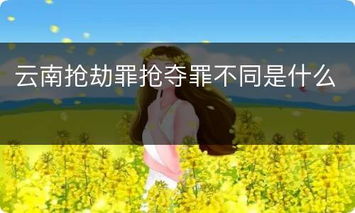 云南抢劫罪抢夺罪不同是什么