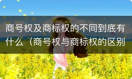 商号权及商标权的不同到底有什么（商号权与商标权的区别）