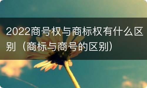 2022商号权与商标权有什么区别（商标与商号的区别）