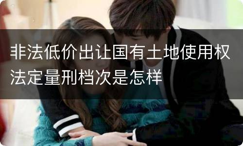 非法低价出让国有土地使用权法定量刑档次是怎样