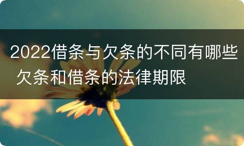 2022借条与欠条的不同有哪些 欠条和借条的法律期限