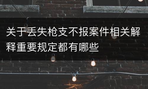 关于丢失枪支不报案件相关解释重要规定都有哪些