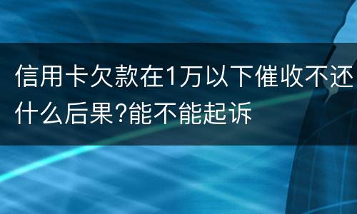 信用卡欠款在1万以下催收不还什么后果?能不能起诉