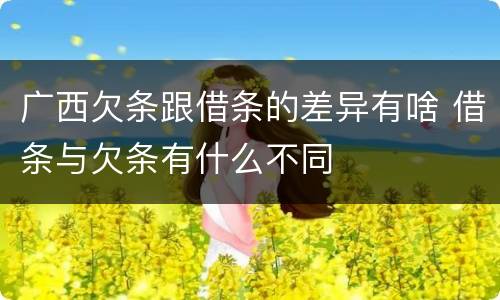 广西欠条跟借条的差异有啥 借条与欠条有什么不同